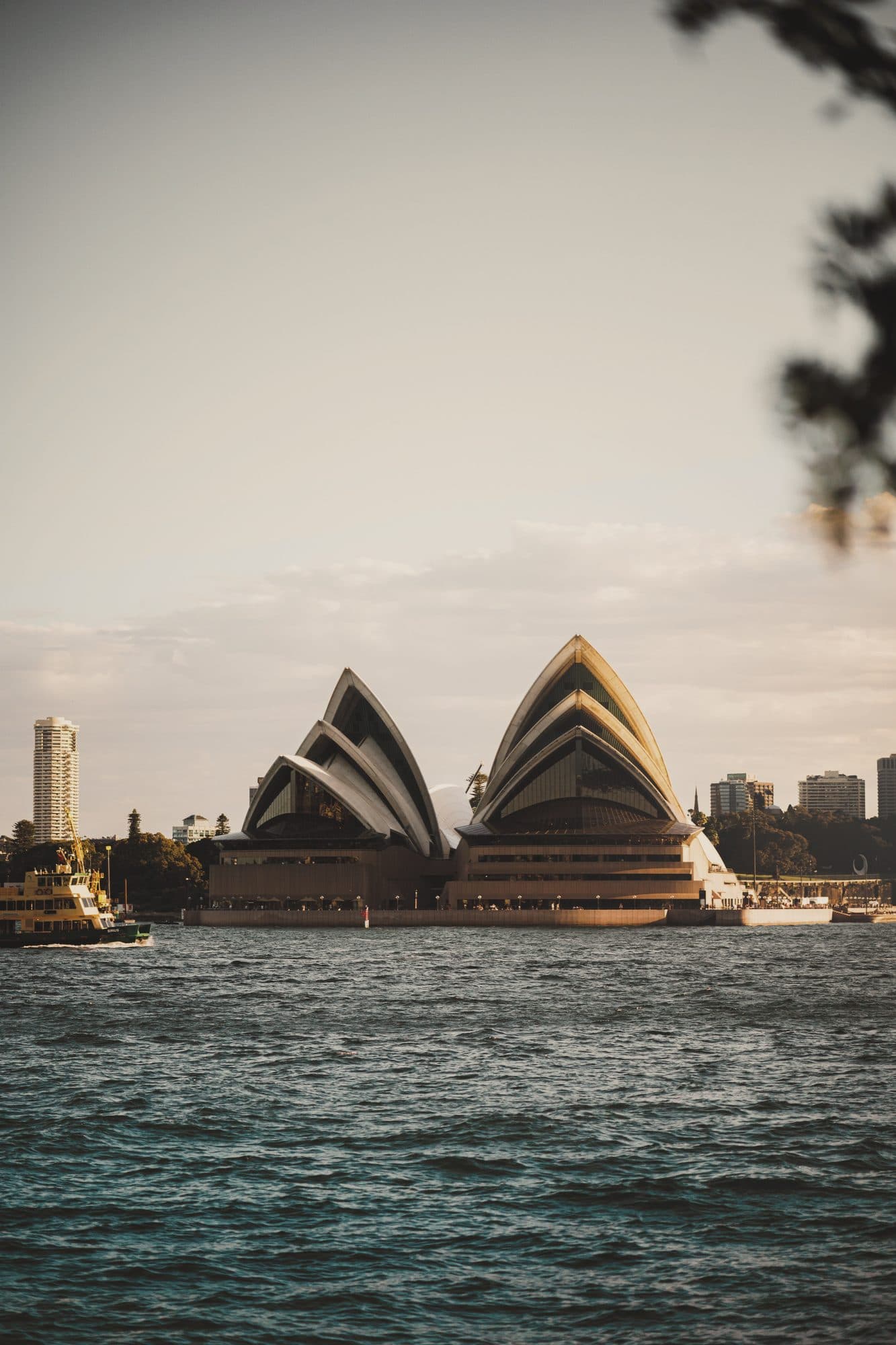 Sydney Opera House across the harbour in soft evening light